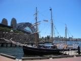 Tall Ship Sailing in Sydney Harbour